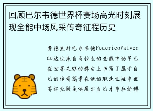 回顾巴尔韦德世界杯赛场高光时刻展现全能中场风采传奇征程历史